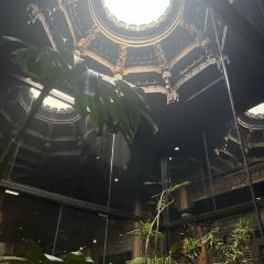 一尺花园(广富林店) User Photo