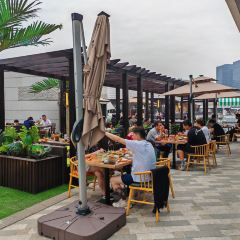 Mango Tree User Photo