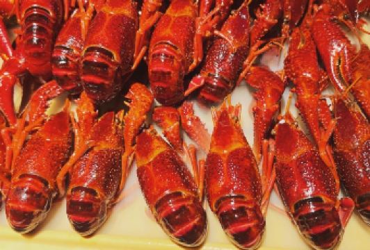 BIG CRAWFISH HOUSE User Photo