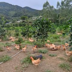 满氏家庭农庄 User Photo