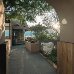 Sky Cloud Sea View Restaurant User Photo