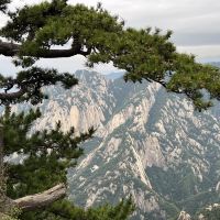 評論圖片 1