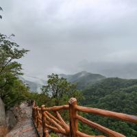 評論圖片 3