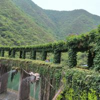 評論圖片 2