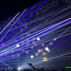 Klein phönix User Photo