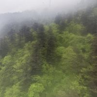 評論圖片 4