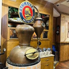 Paulaner am Dom張用戶圖片