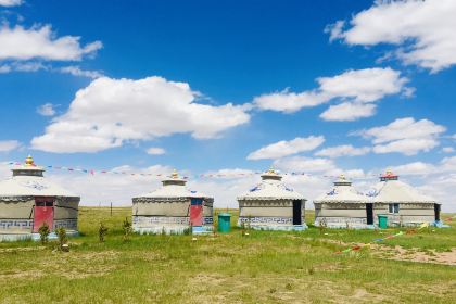 希拉穆仁草原朝鲁呼牧民家