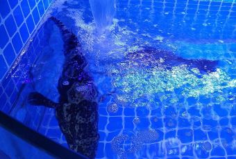 老太太海鮮城（森林公園任家台店）用戶圖片