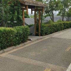 洛阳凤翔温泉酒店·丰泽园 User Photo
