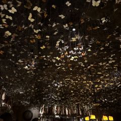 The Iron Fairies Hong Kong User Photo