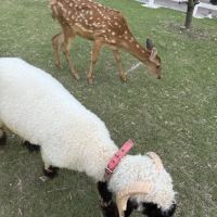 評論圖片 2