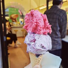 Pidapipo Gelateria張用戶圖片