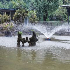 五厂坝休闲农庄 User Photo