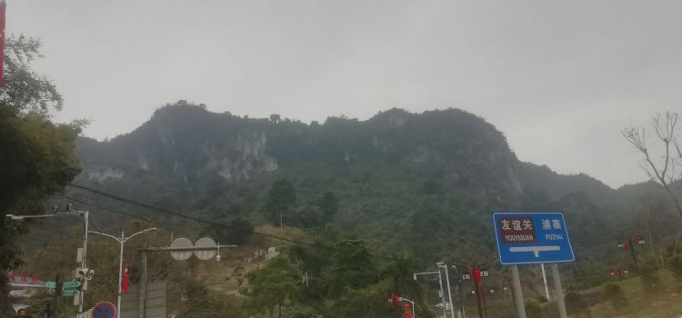 凭祥市沈茗檀
