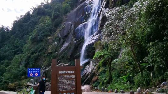 独龙江峡谷被专家认定为&ldquo;野生植物天然博物馆&rd