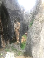 Liziyuanqing Stone Forest