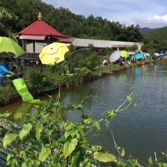 Qifengxiuxiandujiashanzhuang User Photo