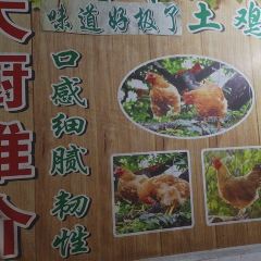 树上土鸡 User Photo