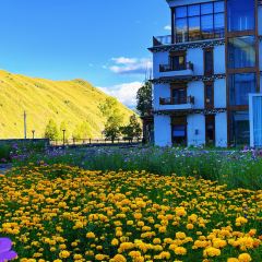 新都桥山屿漫居民宿·餐厅 User Photo