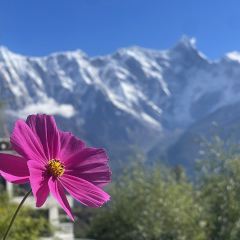 索松村大空里民宿·观景餐厅 User Photo