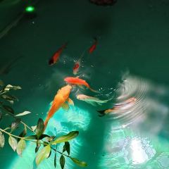谈老幺风味馆 User Photo