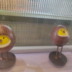 椰小鸡·椰子鸡(美兰缤纷城店) User Photo