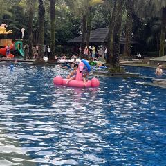 惠州白鷺湖雅居樂喜來登度假酒店—大堂吧張用戶圖片