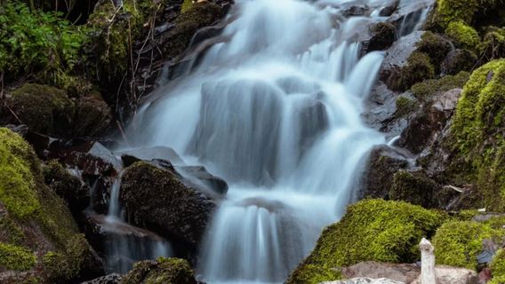 Daba Mountain National Geopark