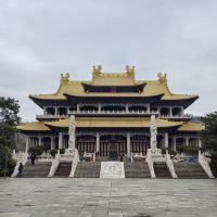 評論圖片 2