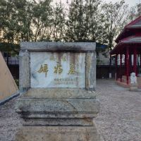 評論圖片 6