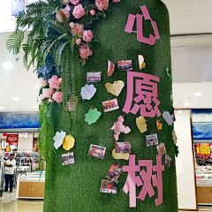 Nanjiang Dabazha User Photo