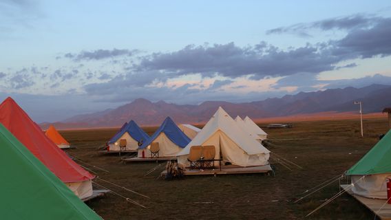 sai li mu hu hua yu xing kong lu ying di