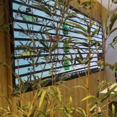 露地怪物冰屋(愚园路店) User Photo