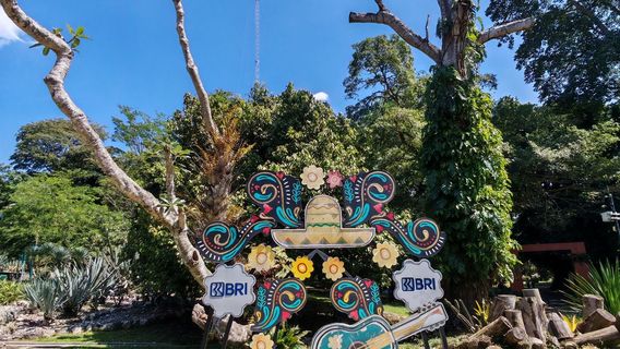 Mexico Garden