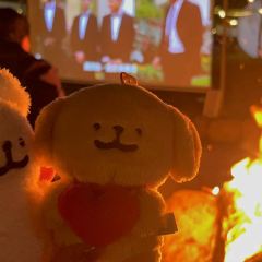 北野cafe&camping User Photo