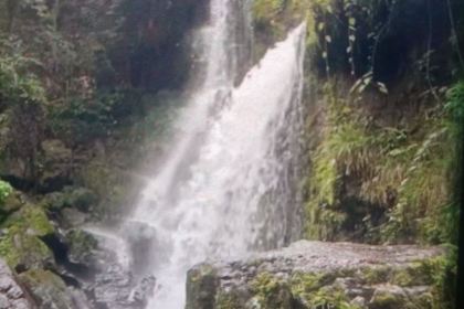 宽山隐庐度假酒店-隐庐餐厅