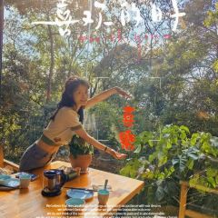 鸟鸣涧森林餐厅·野生菌–自然之味 여행 사진