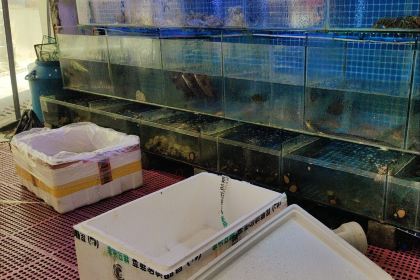 Dongji Xin'anhui B&B (Cliff Photography Branch) .Haihama Taste