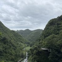 評論圖片 5
