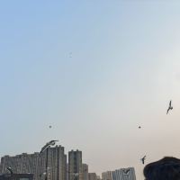評論圖片 5