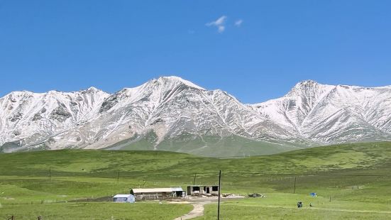 七天六晚的青甘大环线于7月5日结束，印象最深刻的就是祁连草原