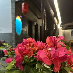 鼎鲜·蟹农渔水·阳澄湖大闸蟹(阳澄湖美人腿店) User Photo