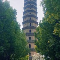 評論圖片 4