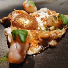 Disfrutar User Photo