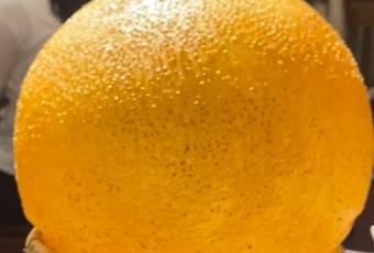 楊記隆府(重慶總店)用戶圖片