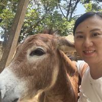 評論圖片 3