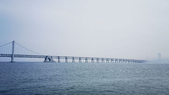 星海灣跨海大橋，不同角度有不同的美，白天夜晚有不一樣的震撼，