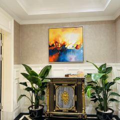 HONGYUXUAN User Photo