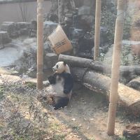 評論圖片 3